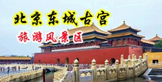 啊~啊~啊~啪啪视频中国北京-东城古宫旅游风景区